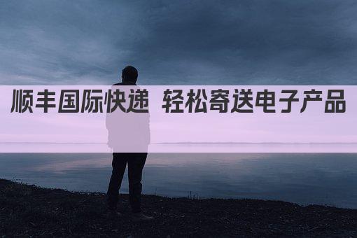 顺丰国际快递 轻松寄送电子产品 