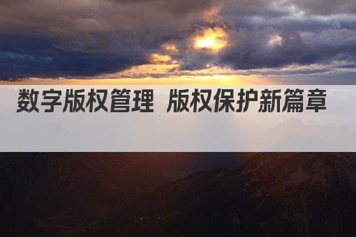 数字版权管理 版权保护新篇章  