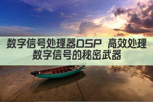 数字信号处理器DSP 高效处理数字信号的秘密武器