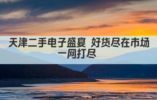 天津二手电子盛宴 好货尽在市场一网打尽 