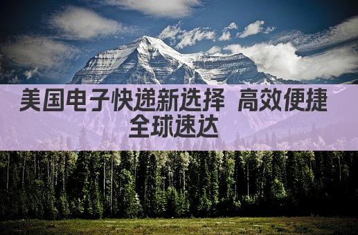 美国电子快递新选择 高效便捷 全球速达 