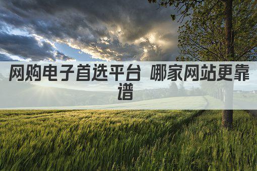 网购电子首选平台 哪家网站更靠谱 