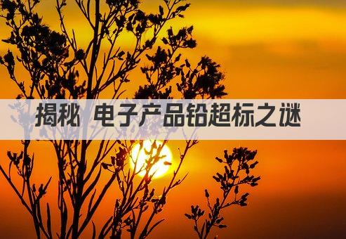 揭秘 电子产品铅超标之谜 