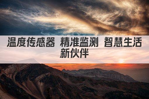 温度传感器 精准监测 智慧生活新伙伴