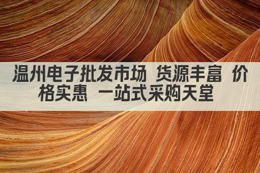 温州电子批发市场 货源丰富 价格实惠 一站式采购天堂 