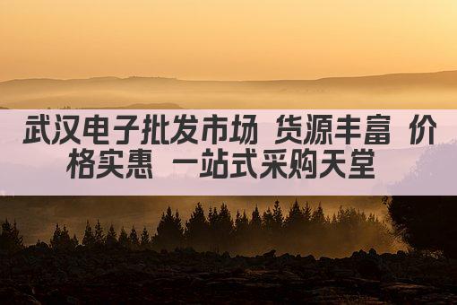武汉电子批发市场 货源丰富 价格实惠 尽享购物盛宴 