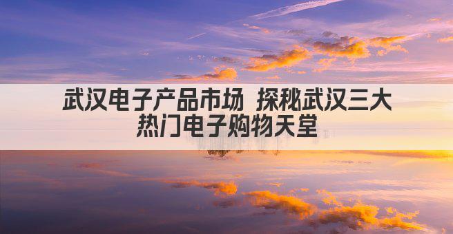 武汉电子产品市场 探秘武汉三大热门电子购物天堂