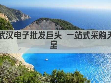 武汉电子批发巨头 一站式采购天堂 