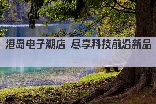 港岛电子潮店 尽享科技前沿新品 