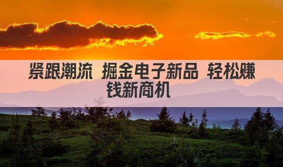 紧跟潮流 掘金电子新品 轻松赚钱新商机 