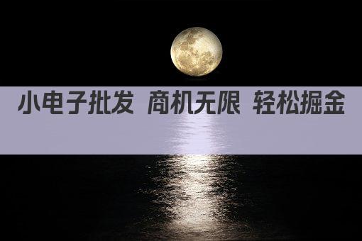 小电子批发 商机无限 轻松掘金 