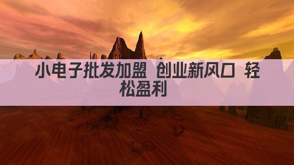 小电子批发加盟 轻松创业新机遇 