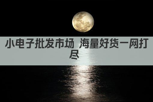 小电子批发市场 海量好货一网打尽 