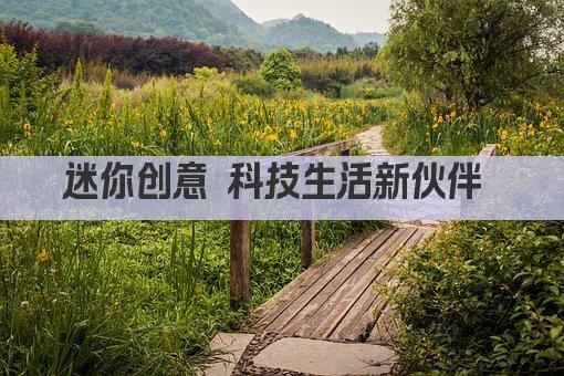 迷你创意 科技生活新伙伴 