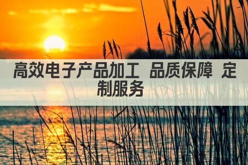 高效电子产品加工 品质保障 定制服务 
