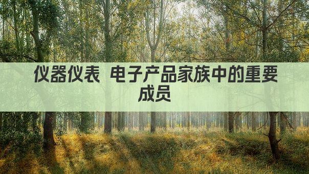 仪器仪表 电子产品家族中的重要成员