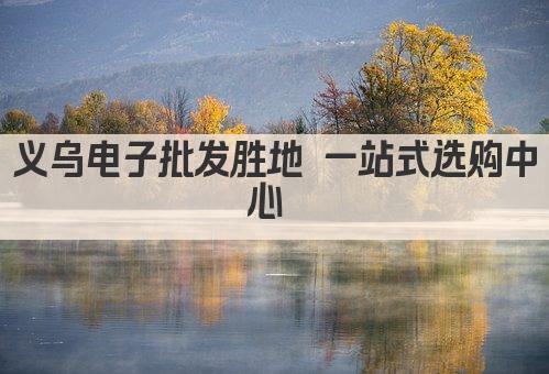 义乌电子批发胜地 一站式选购中心 