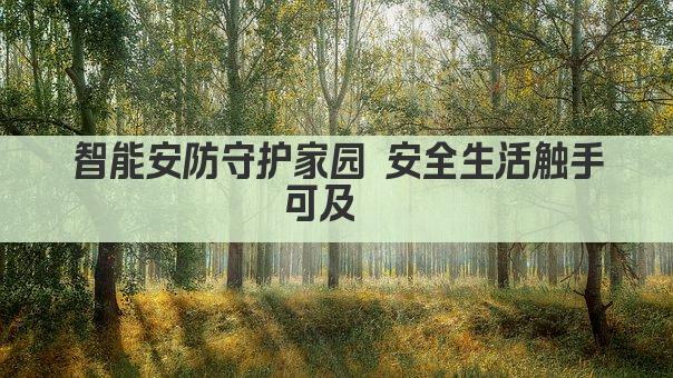 智能安防守护家园 安全生活触手可及  