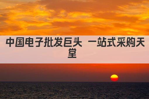 中国电子批发巨头 一站式采购天堂 