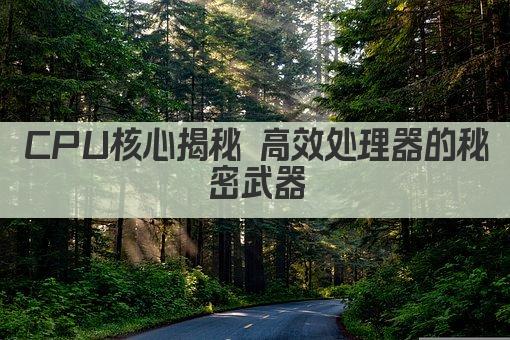 CPU核心揭秘 高效处理器的秘密武器