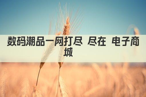 数码潮品一网打尽 尽在 电子商城  