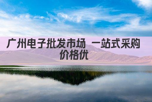 广州电子批发市场 一站式采购 价格优 