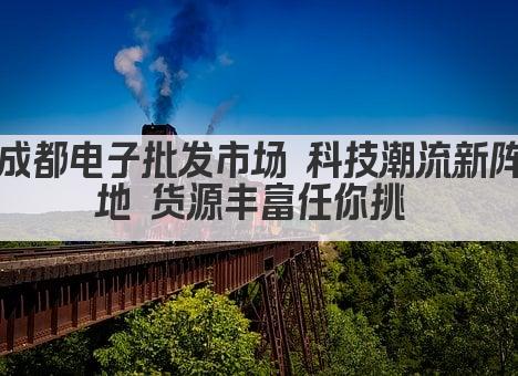 成都电子批发市场 科技潮流新阵地 货源丰富任你挑 