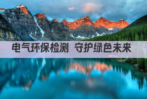 电气环保检测 守护绿色未来 