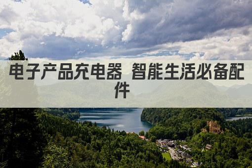 电子产品充电器 智能生活必备配件 