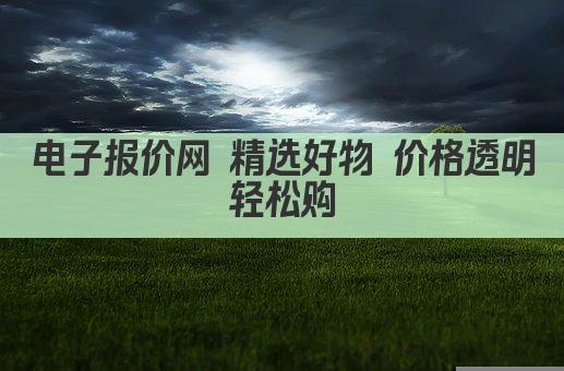 电子报价网 精选好物 价格透明 轻松购 