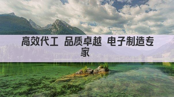 高效代工 品质卓越 电子制造专家 