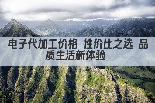 电子代加工价格 性价比之选 品质生活新体验 