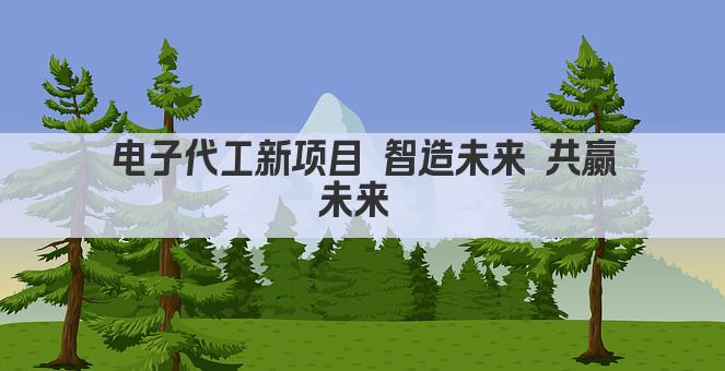 电子代工新项目 智造未来 共赢未来 