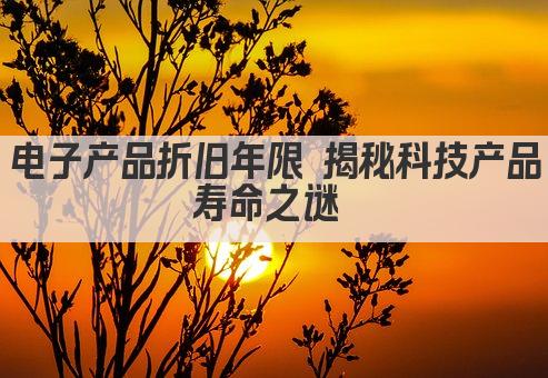 电子产品折旧年限 揭秘科技产品寿命之谜 