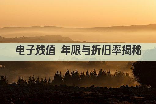 电子残值 年限与折旧率揭秘