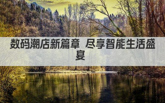 数码潮店新篇章 尽享智能生活盛宴 