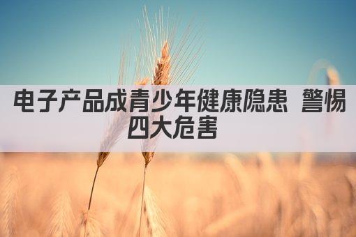 电子产品成青少年健康隐患 警惕四大危害 