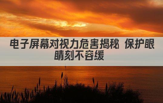 电子屏幕对视力危害揭秘 保护眼睛刻不容缓 
