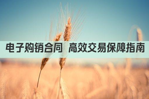 电子购销合同 高效交易保障指南