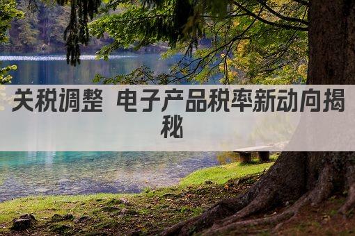 关税调整 电子产品税率新动向揭秘 