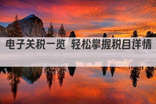 电子关税一览 轻松掌握税目详情 
