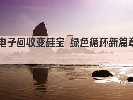 电子回收变硅宝 绿色循环新篇章 