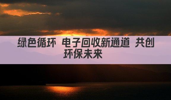 绿色循环 电子回收新通道助力环保 