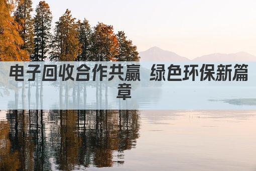 电子回收合作共赢 绿色环保新篇章 