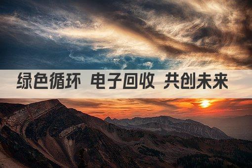 绿色循环 电子回收 共创未来 