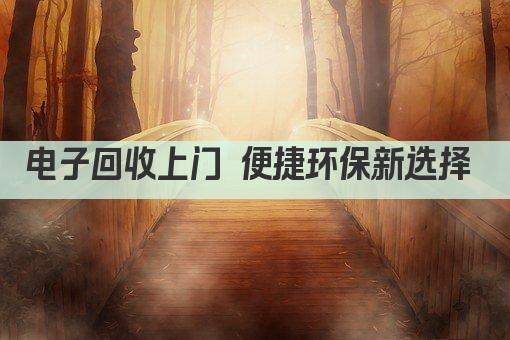 电子回收上门 便捷环保新选择 