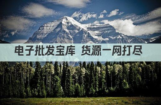 电子批发宝库 货源一网打尽 