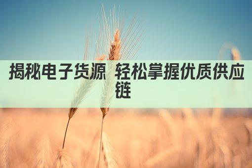 揭秘电子货源 轻松掌握优质供应链 