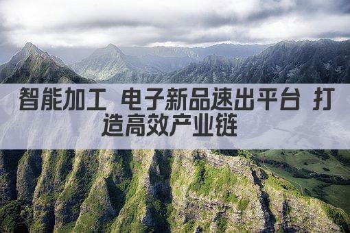 智能加工 电子新品速出平台 打造高效产业链 