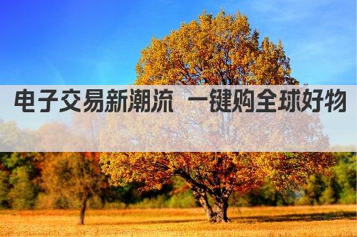 电子交易新潮流 一键购全球好物 